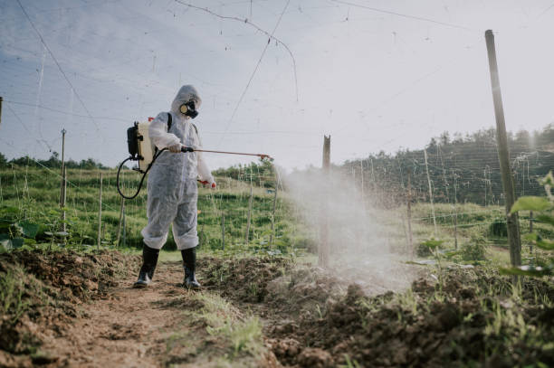 Best Mosquito Control Services  in Durham, CA