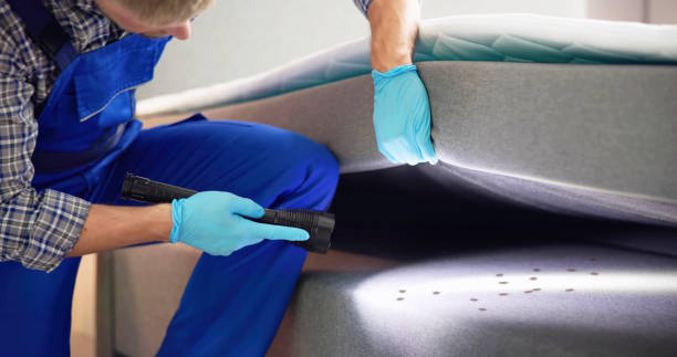 Best Flea Control Services  in Durham, CA