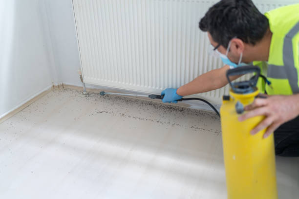 Best Cockroach Control Services  in Durham, CA