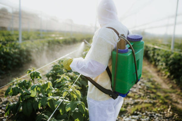 Best Ant Control Services  in Durham, CA